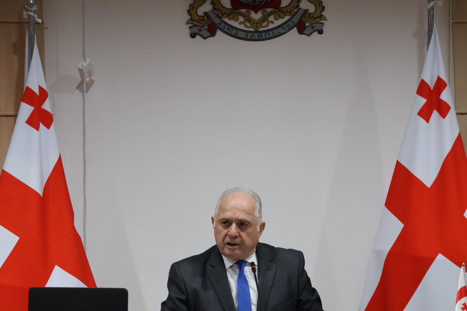 უმაღლესი საბჭოს წევრებმა აფხაზეთის იძულებით გადაადგილებულ პირთა მინისტრს დავით ფაცაციას მოუსმინეს