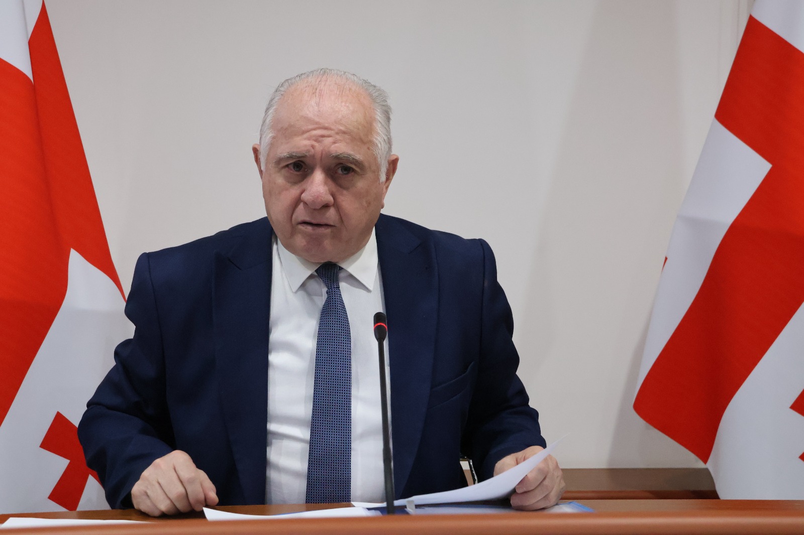 პლენარულ სხდომაზე აფხაზეთის იუსტიციისა და სამოქალაქო ინტეგრაციის მინისტრს ალიონა ჩქოტუას მოუსმინეს