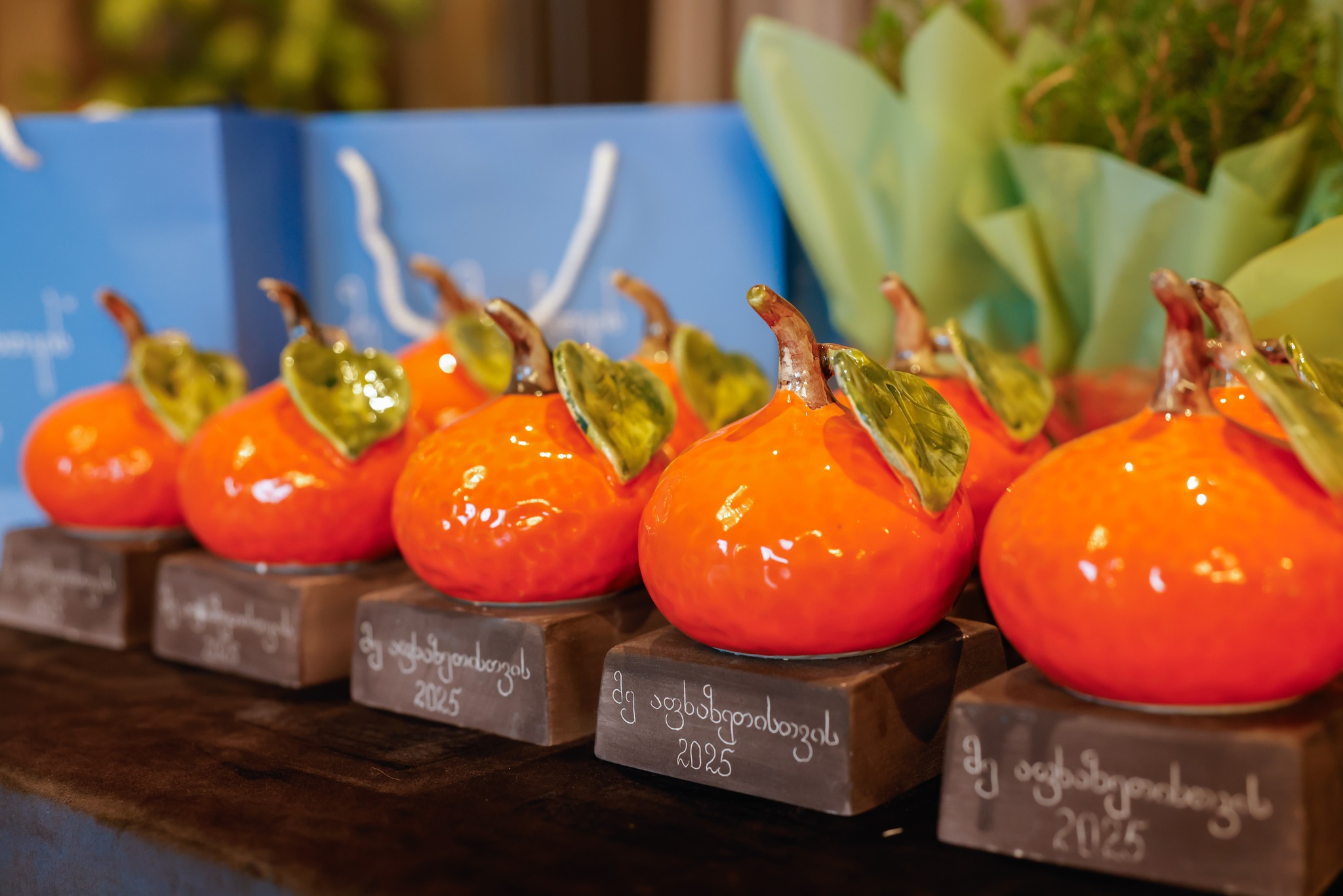 უმაღლესი საბჭოს წევრები “მე აფხაზეთისთვის” მონაწილეთა დაჯილდოებას დაესწრნენ