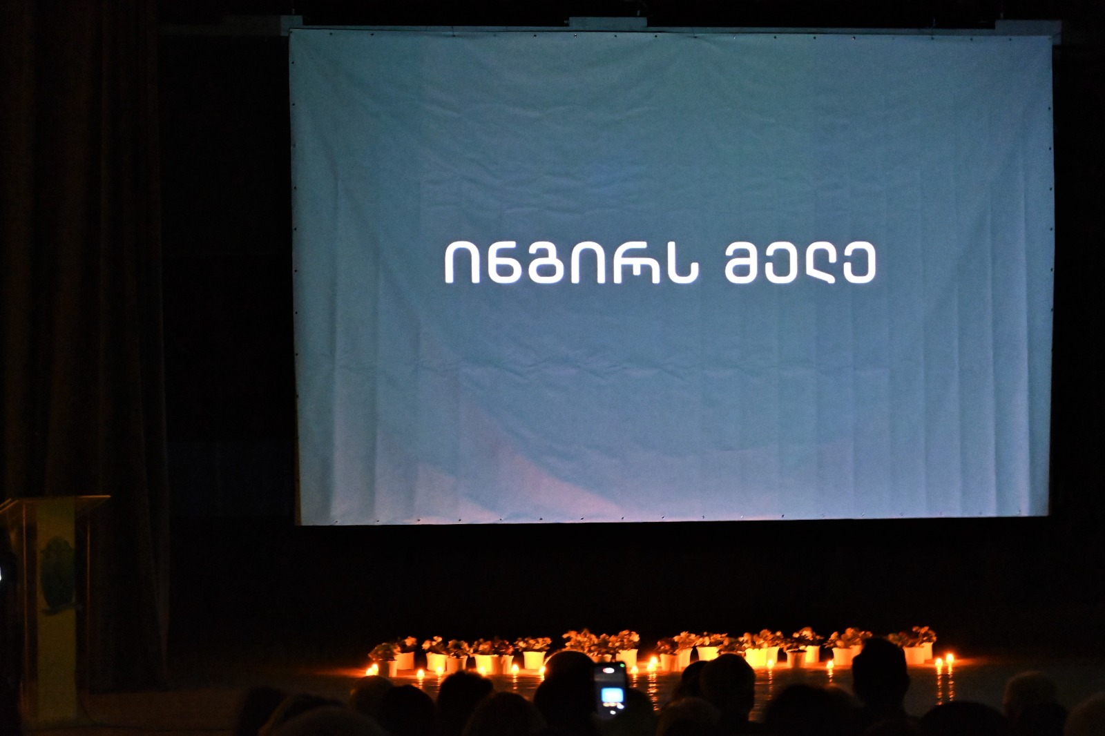 უმაღლესი საბჭოს წევრები ფილმის “ინგირს მელე” პრეზენტაციას დაესწრნენ