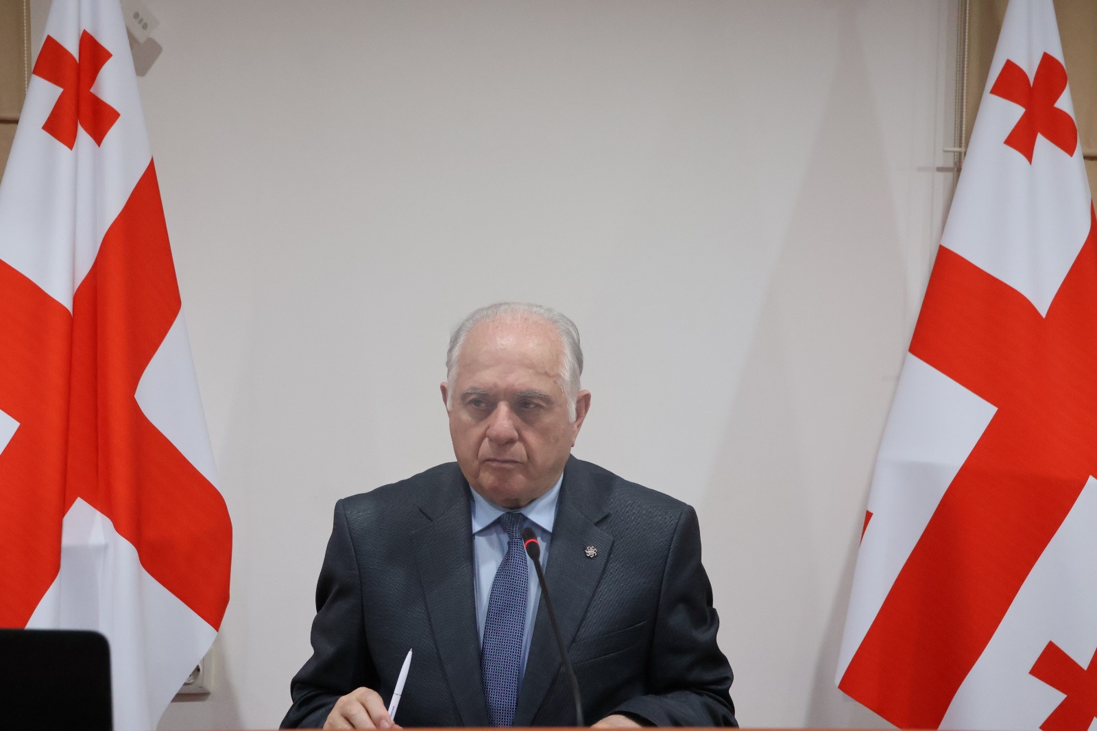 ინტერპელაციის წესით აფხაზეთის იძულებით გადაადგილებულ პირთა მინისტრს დავით ფაცაციას მოუსმინეს